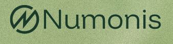 Logo CONSULTING INTEGRAL