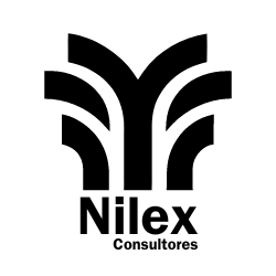 Logo NILEX CONSULTORES