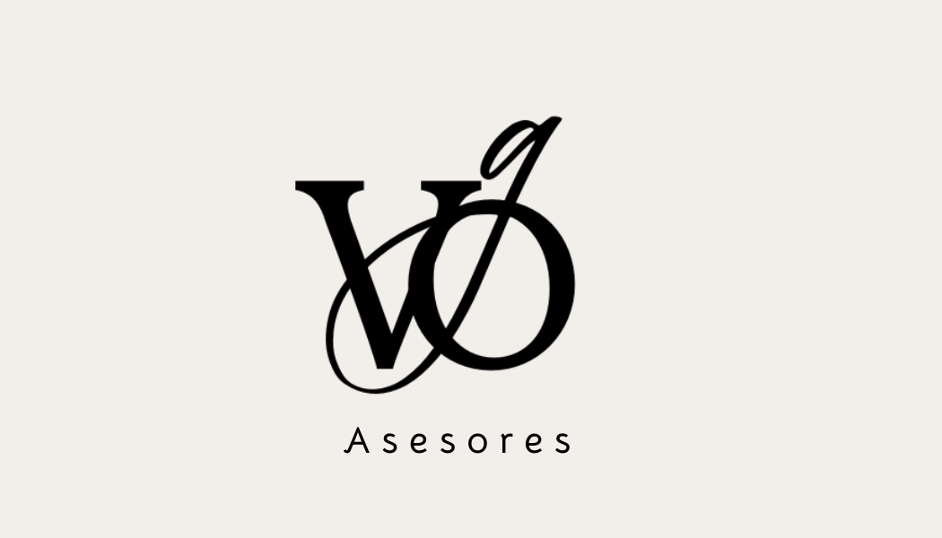 Logo VG ASESORIA Logo VG ASESORIA