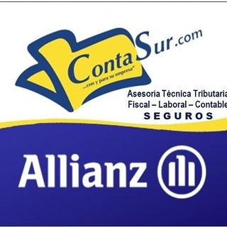 Logo ContaSur Logo ContaSur