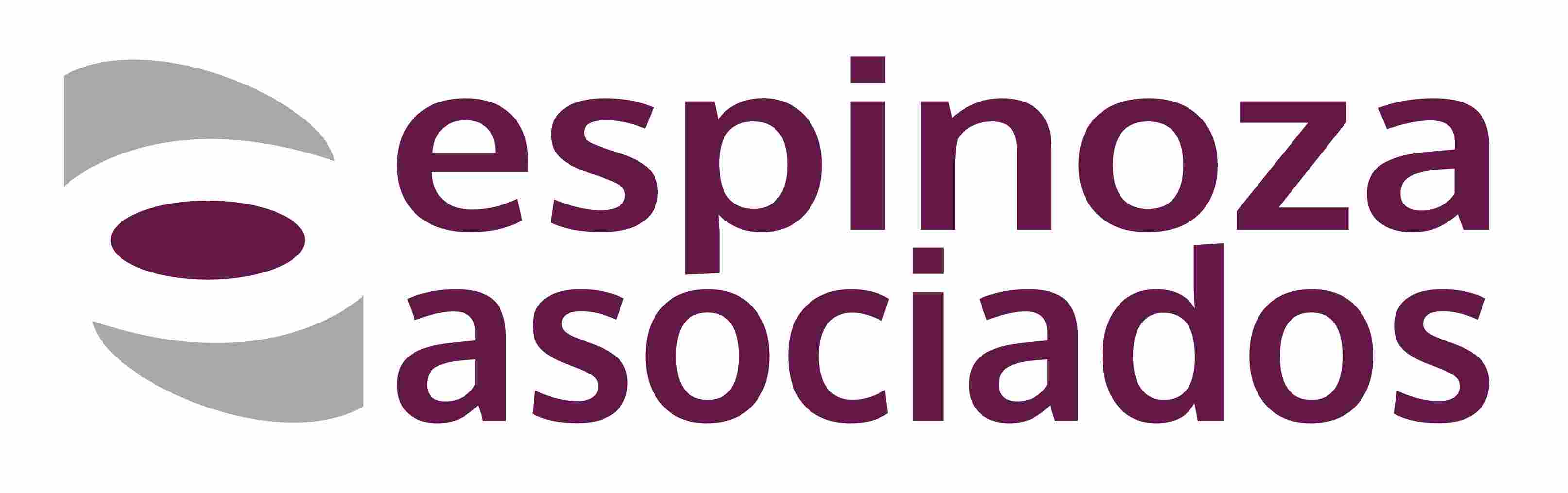 Logo Espinoza Asociados