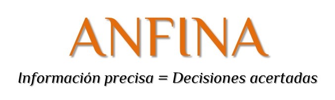 Logo ANFINA